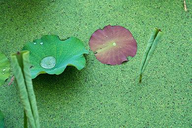 剧情驱动RPG《电气马戏团》实机宣传片 游戏年内发售